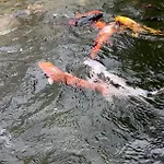 Σπίτι διακοπών Casa Do Piscina Aquecida *