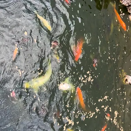 Casa Do Piscina Aquecida Дом отдыха
