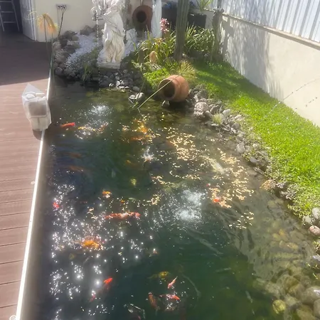 펜션 Casa Do
