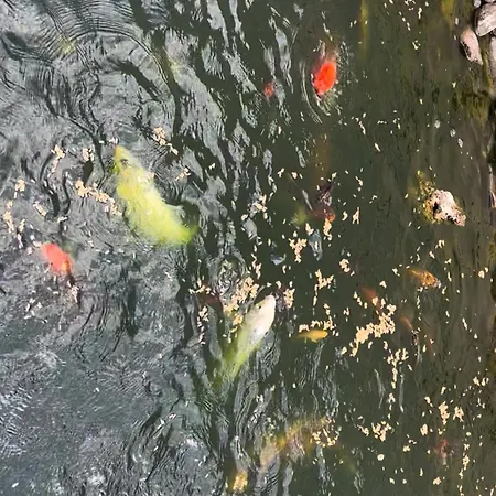 Casa Do Piscina Aquecida Дом отдыха *