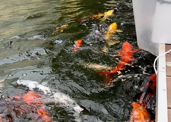 Casa Do Piscina Aquecida 度假居 *