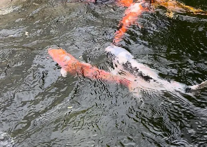 度假居 Casa Do Piscina Aquecida *