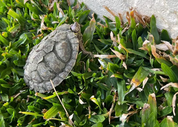 度假居 Casa Do Piscina Aquecida 埃斯平霍