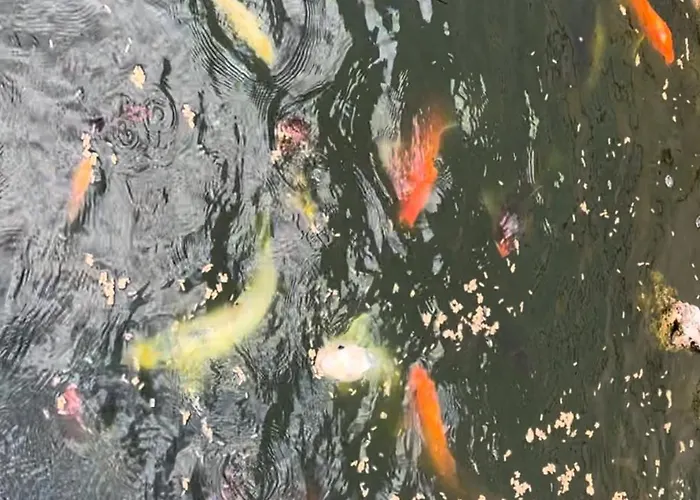 Casa Do Piscina Aquecida 度假居