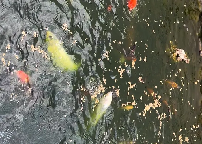 Casa Do Piscina Aquecida 度假居 *